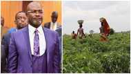 Kennedy Agyapong Says Ghana Will Feed The Whole Of Africa Through Farming If He Becomes President