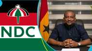 NDC demands Pius Hadzide be arrested for alleged admission in 2018 Australia visa racketeering scandal