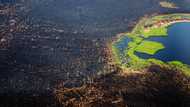 Arctic fires could release catastrophic amounts of C02: study