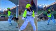 Best team ever: Lady shows off amazing dance moves with her dog, dog walks around her in circles