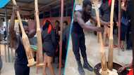 Netizens react to video of strong Ghanaian man pounding Fufu with two heavy pestles concurrently