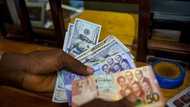 Cedi slumps twice within 24 hours as $1 sells for almost GH¢14