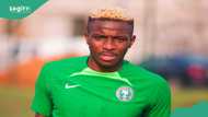 AFCON 2023: Victor Osimhen reportedly cleared by medical team to play against South Africa