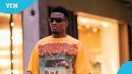 Kofi Kinaata celebrates major UN appointment, fans erupt in joy