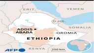 Amnesty urges probe into 'horrific' ethnic massacre in Ethiopia