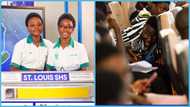 NSMQ 2023: St Louis SHS girls beat Adisco with 53 points to 19, Abuakwa State College places 2nd