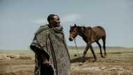 Slow-journeying in mountainous kingdom of Lesotho