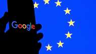 EU launches antitrust probe into Google's data use for AI