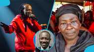 "Daddy Lumba and Akosua Serwaa allegedly own a school": Nana Frimpong Ziega drops new secrets about the singer