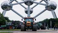 Hardline farmers back in Brussels to protest EU policies