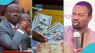 Cedi Appreciation: International Relations expert says Cedi's value will drop in December, explains in video