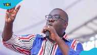 Sammi Awuku discloses government has not received a pesewa from lottery tax