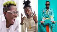 Shatta Wale challenges Addi Self and Joint 77; flaunts powerful fleet of cars in new photo