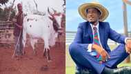 From cowboy to top Ghanaian journalist; Umaru Sanda shares inspiring throwback photos