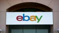 US sues eBay for selling products that harm environment