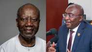 Bawumia, Ofori-Atta, 3 other who can make good NPP candidates for president