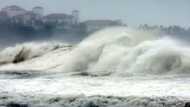 Power outages, damage as Typhoon Hinnamnor hits South Korea
