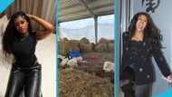 Farida Mahama goes farming, spends time with goats, video leaves many in awe