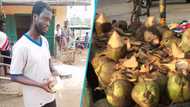 Vision-impaired man videoed selling coconut by the roadside, inspires folks: “God will heal him”