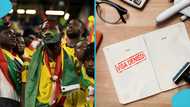 World Cup: US Embassy denies visas to 147 Ghanaians seeking to support Black Stars