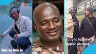 Appiah Stadium In Germany, Tries To Pet A Fish In Hilarious Encounter