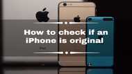 How to check if iPhone is original: simple ways to tell if yours is fake