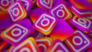 How Instagram stories help local businesses stay visible between posts
