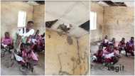 I don't want to finish NSS like this - Lady begs for money to renovate government school