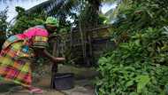 Dozens of Suriname villages await aid following unprecedented floods