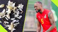 Sudan FA Report Ghana to Libya Authorities After Spotting Sliced Onions on Pitch After Training