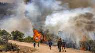 Morocco firefighters battle blazes as villagers flee