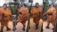Hands in the air: Plus size lady 'wins' Black Sherif's Kwaku The Traveller challenge with hilarious video