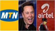 Elon Musk's Starlink Plans to Debut; Set to Compete with MTN, Airtel, Glo
