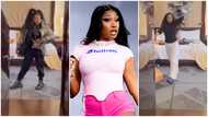 Thieves break into Megan Thee Stallion's Los Angeles Home and make away with goods valued at $400,000