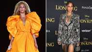 Beyoncé reportedly booked for $24 million for Dubai private event, netizens crack porta potty jokes