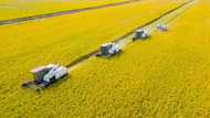 China announces $137 bn sovereign bond issuance
