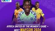 WAFCON 2024: everything you need to know about the continent’s main women’s football tournament