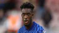 Callum Hudson-Odoi age, father, net worth, current team, latest updates