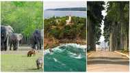 Aburi Botanical Gardens and Other Beautiful Places in Ghana Every Tourist Must Visit