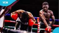 'Brutal TKO': Azumah Nelson’s son stunned in devastating boxing defeat (Video)