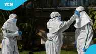 Ebola in Nigeria: WHO Confirms No Active Cases as Patient Evacuated to Switzerland