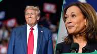 Donald Trump vs Harris: New poll discloses who is leading as early voting records smashed in US