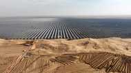 World added 50% more renewable energy but more needed: IEA