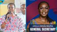 Ursula Owusu-Ekuful announces bid for NPP General Secretary position