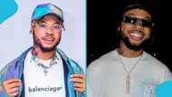 Poco Lee’s UK court case takes new twist as plea hearing date is announced