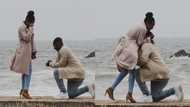 Photographer on tour spots unknown couple's proposal from afar & captures sweet moment
