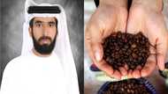 ow UAE's Hamad Ali AlMazrouei changed the face of agriculture in 4 years; lessons for Ghanaians