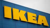 Court reduces spying sentence for Ikea France ex-boss