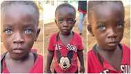 Dark-skinned GH boy with sparkling blue eyes goes viral on TikTok as many netizens are left in awe: "I met him in the village"