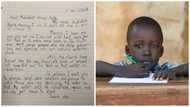"Our rivers have become groundnut soup" - Primary 5 pupil writes letter to Nana Addo